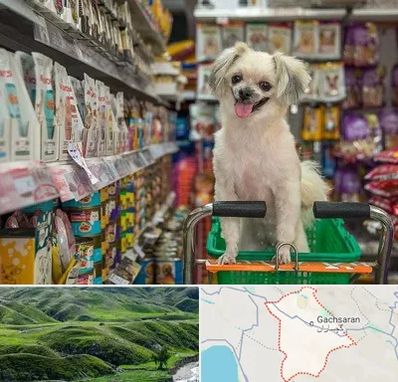 عمده فروشی غذای حیوانات در گچساران