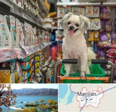 عمده فروشی غذای حیوانات در مریوان