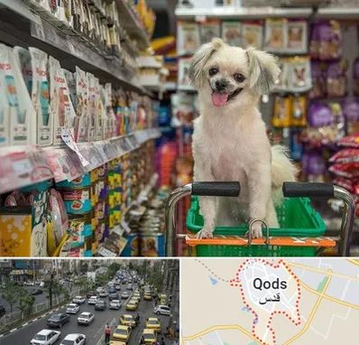 عمده فروشی غذای حیوانات در شهر قدس