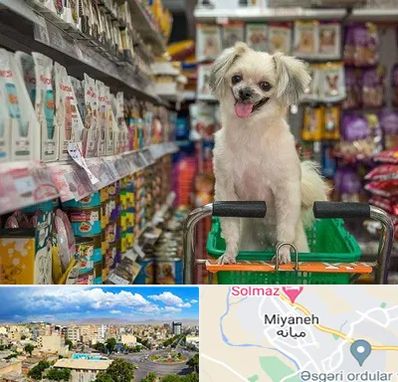 عمده فروشی غذای حیوانات در میانه