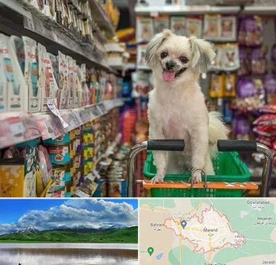 عمده فروشی غذای حیوانات در مرند