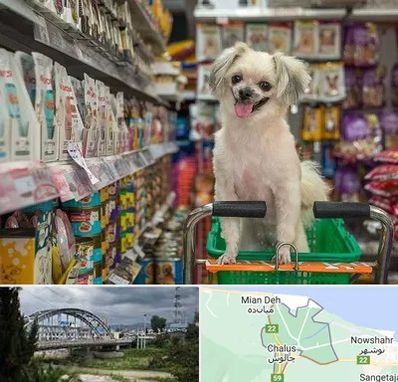 عمده فروشی غذای حیوانات در چالوس