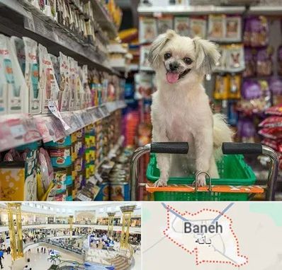 عمده فروشی غذای حیوانات در بانه