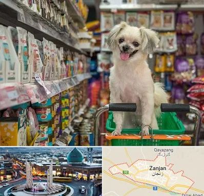 عمده فروشی غذای حیوانات در زنجان