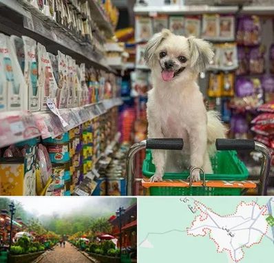 عمده فروشی غذای حیوانات در فومن