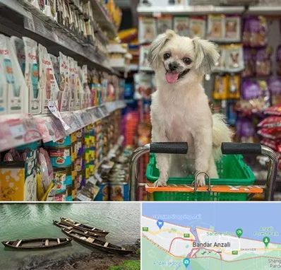 عمده فروشی غذای حیوانات در بندر انزلی