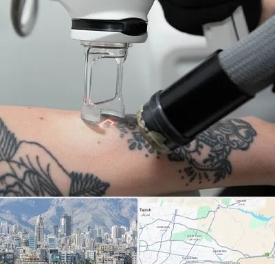ریمو تاتو در شمال شرق تهران