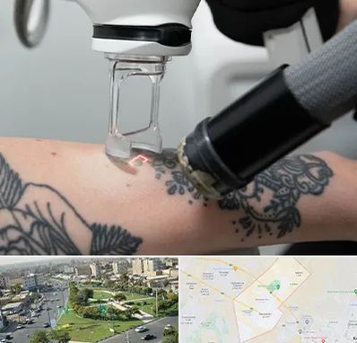 ریمو تاتو در کمال شهر کرج 