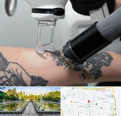 ریمو تاتو در سرسبز 