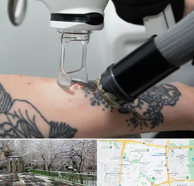 ریمو تاتو در باغ فیض 