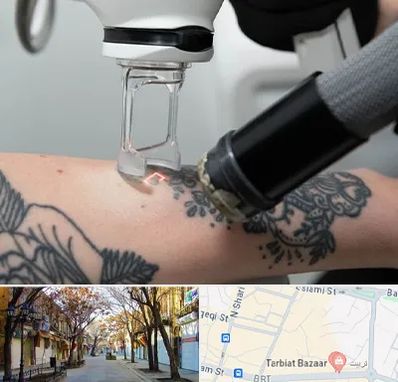 ریمو تاتو در تربیت تبریز