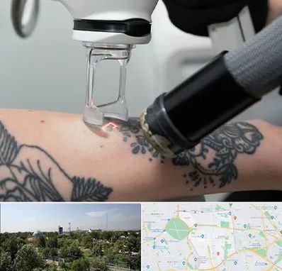 ریمو تاتو در منطقه 16 تهران 