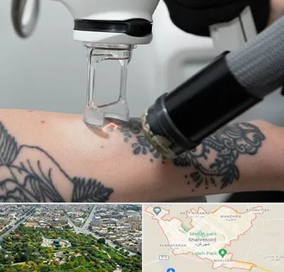 ریمو تاتو در شهرکرد