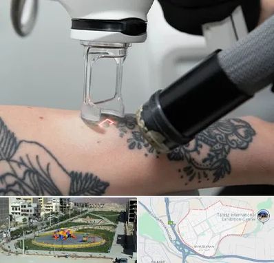 ریمو تاتو در مرزداران تبریز