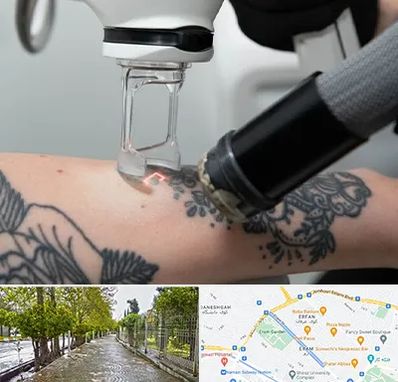 ریمو تاتو در خیابان ارم شیراز 