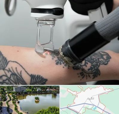 ریمو تاتو در لنگرود