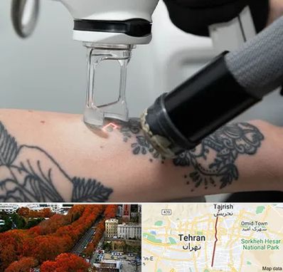 ریمو تاتو در ولیعصر 