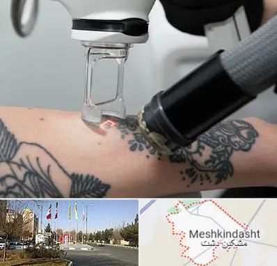 ریمو تاتو در مشکین دشت