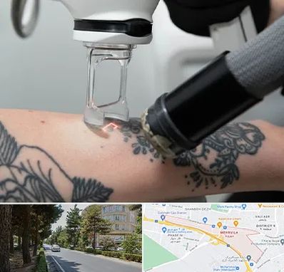 ریمو تاتو در مهرویلا کرج 