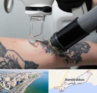 ریمو تاتو در بندرعباس