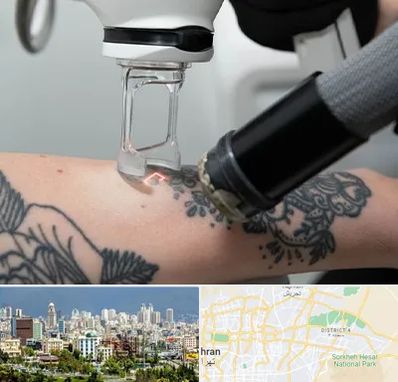 ریمو تاتو در شرق تهران 