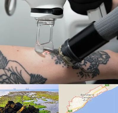 ریمو تاتو در بندرلنگه