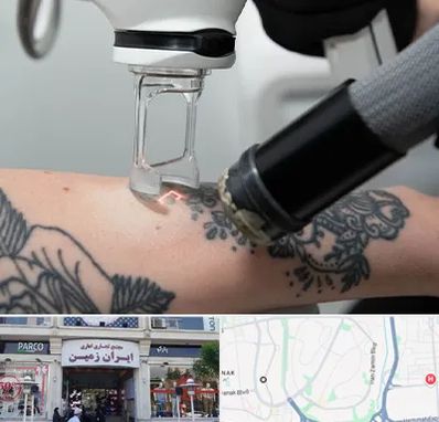 ریمو تاتو در ایران زمین