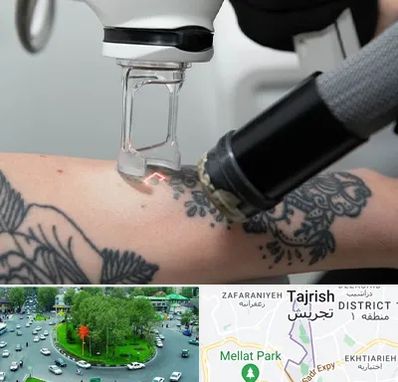 ریمو تاتو در تجریش 