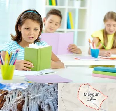 درمان اختلالات یادگیری در میگون