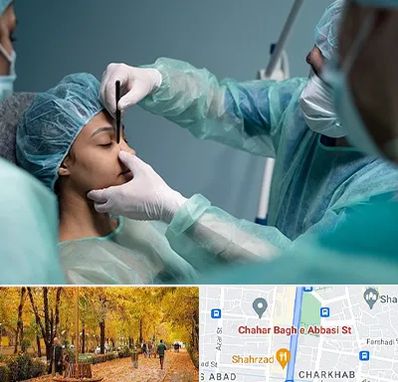 عمل بینی ارزان در چهارباغ اصفهان 
