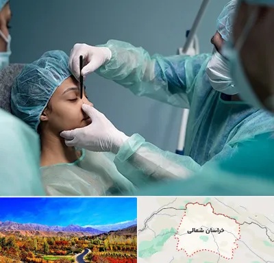 عمل بینی ارزان در خراسان شمالی