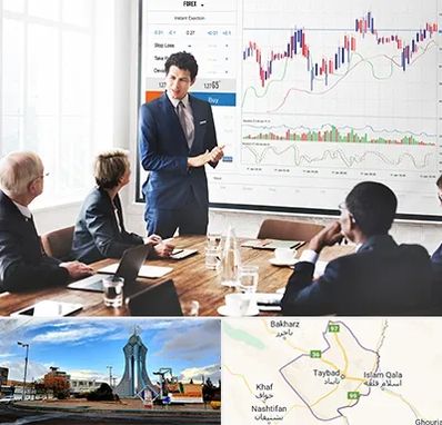 آموزشگاه فارکس در تایباد