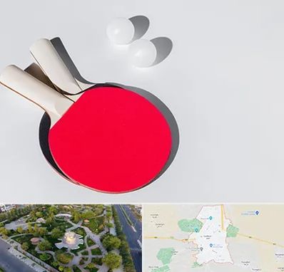 باشگاه پینگ پنگ در کاشمر