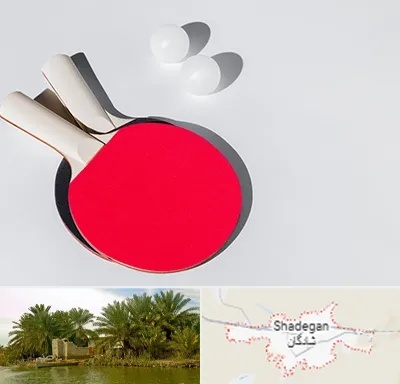 باشگاه پینگ پنگ در شادگان