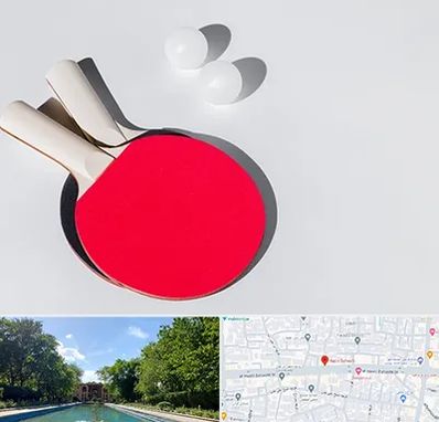 باشگاه پینگ پنگ در هشت بهشت اصفهان 