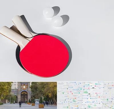 باشگاه پینگ پنگ در منطقه 12 تهران 