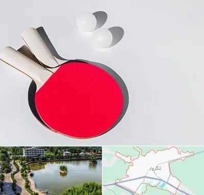 باشگاه پینگ پنگ در لنگرود