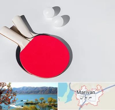 باشگاه پینگ پنگ در مریوان