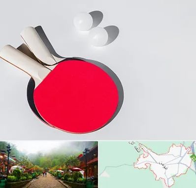 باشگاه پینگ پنگ در فومن