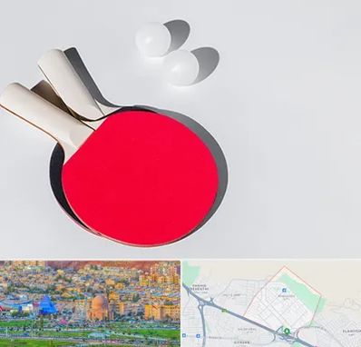 باشگاه پینگ پنگ در رشدیه تبریز