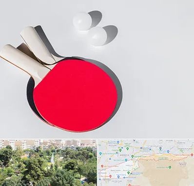 باشگاه پینگ پنگ در منطقه 13 تهران 