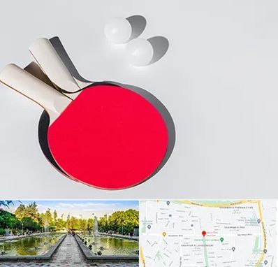 باشگاه پینگ پنگ در سرسبز 