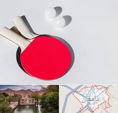 باشگاه پینگ پنگ در دامغان