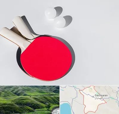 باشگاه پینگ پنگ در گچساران