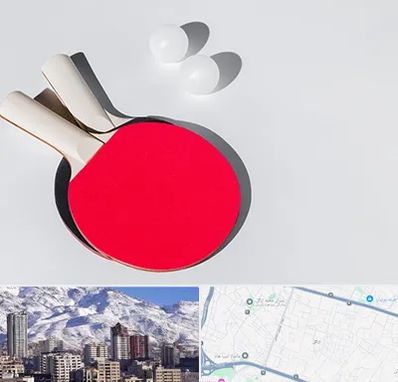 باشگاه پینگ پنگ در ازگل