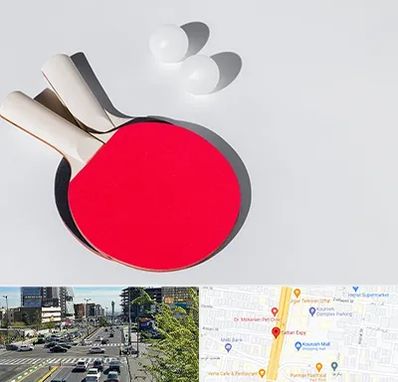 باشگاه پینگ پنگ در ستاری 