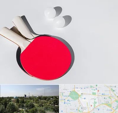 باشگاه پینگ پنگ در منطقه 16 تهران 