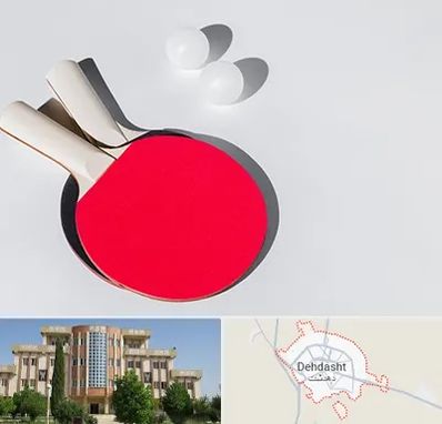 باشگاه پینگ پنگ در دهدشت