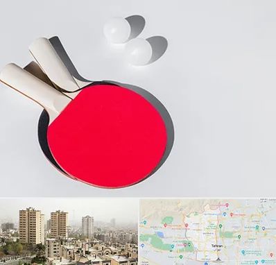 باشگاه پینگ پنگ در منطقه 5 تهران 