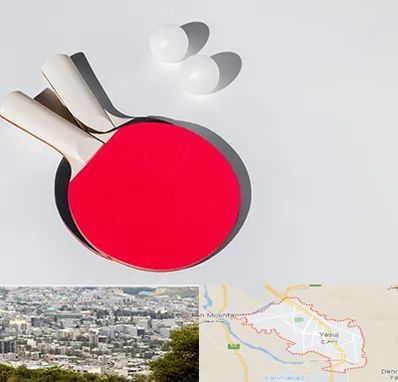 باشگاه پینگ پنگ در یاسوج